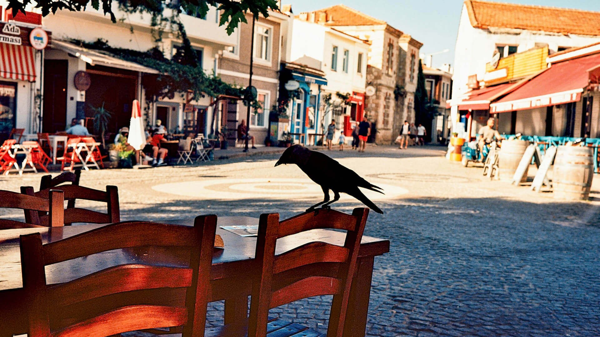 Bozcaada’da Tat, Ritim ve Rüzgâr | MINI Türkiye Bozcaada’da Tat, Ritim ve Rüzgâr | MINI Türkiye